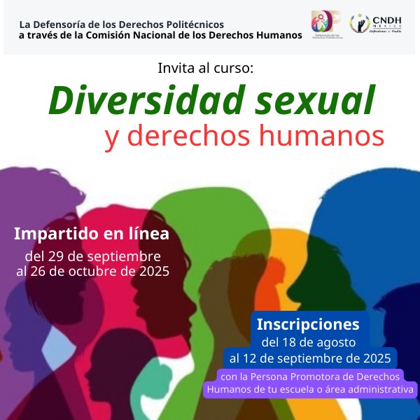 Curso 5